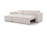 Alexa Pull Out Sofa Bed with Storage