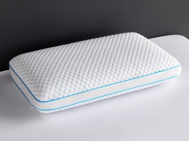 Dream serenity cooling cover ventilated gel memory foam pillow outlet