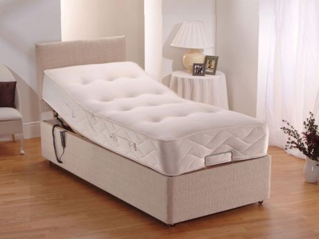 Adjustable Electric Bed Chenille With Pocket Mattress and Headboard Mink